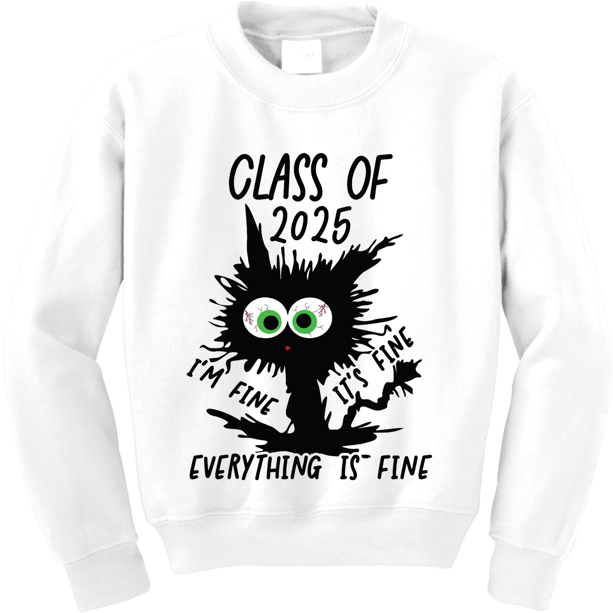 Class Of 2025 Kids Sweatshirt