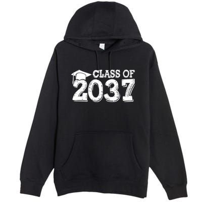 Class Of 2037 Grow With Me Handprints Space On Back Premium Pullover Hoodie
