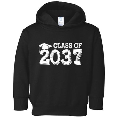Class Of 2037 Grow With Me Handprints Space On Back Toddler Hoodie