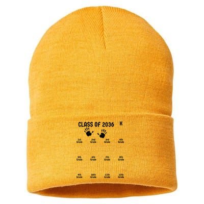 Class Of 2036 Grow With Me Sustainable Knit Beanie