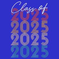 Class Of 2025 Vintage Senior 2025 Button