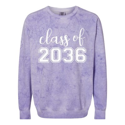 Class of 2036 Grow With Me First Day of School Colorblast Crewneck Sweatshirt