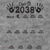 Class Of 2038 Grow With Me Handprint Pre K 12th Grade Toddler Hoodie