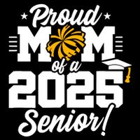 Class Of 2025 Senior Year Cheer Mom Senior 2025 Wool Snapback Cap