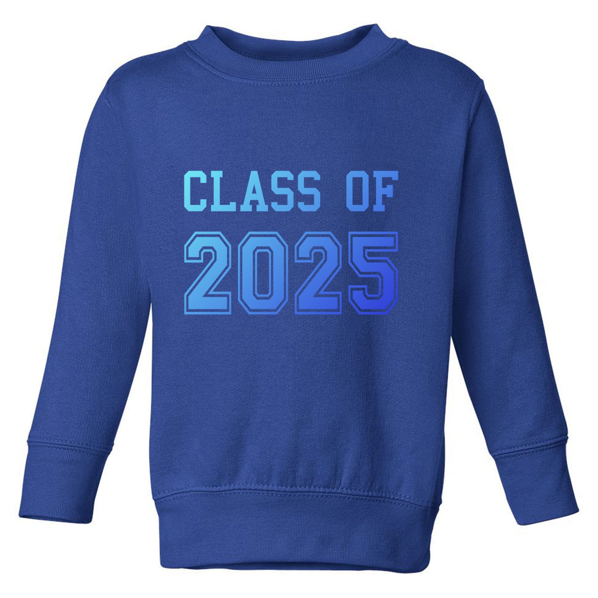 Class Of 2025 Graduation School Future Graduate Cool Gift Toddler Sweatshirt