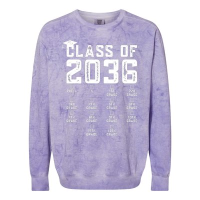 Class Of 2036 Grow With Me With Space For Checkmarks Colorblast Crewneck Sweatshirt