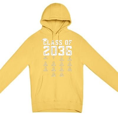 Class Of 2036 Grow With Me With Space For Checkmarks Premium Pullover Hoodie