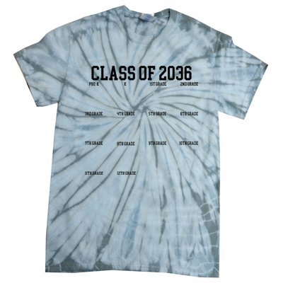 Class Of 2036 Grow With Me Handprint Graduation Tie-Dye T-Shirt