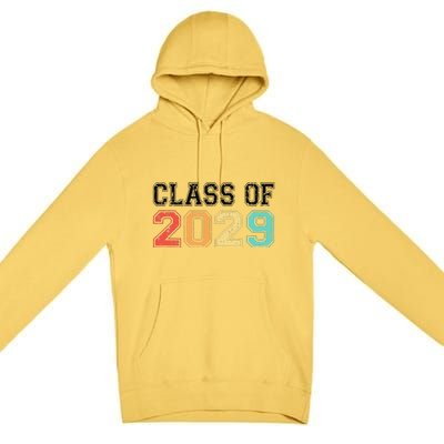 Class Of 2029 Grow With Me Graduation Retro Vintage Premium Pullover Hoodie