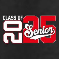 Class Of 2025 Senior Graduation 2025 Back To School Red Gift Adult Drive Performance Visor