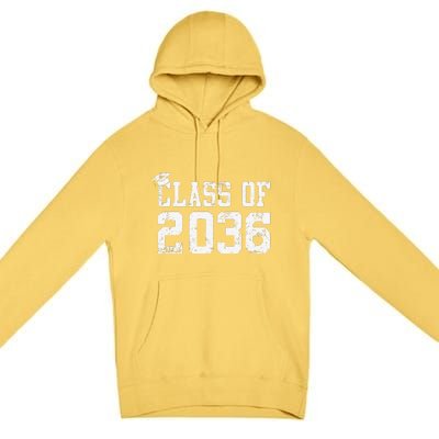 Class Of 2036 Grow With Me First Day Of School Graduation Cute Premium Pullover Hoodie