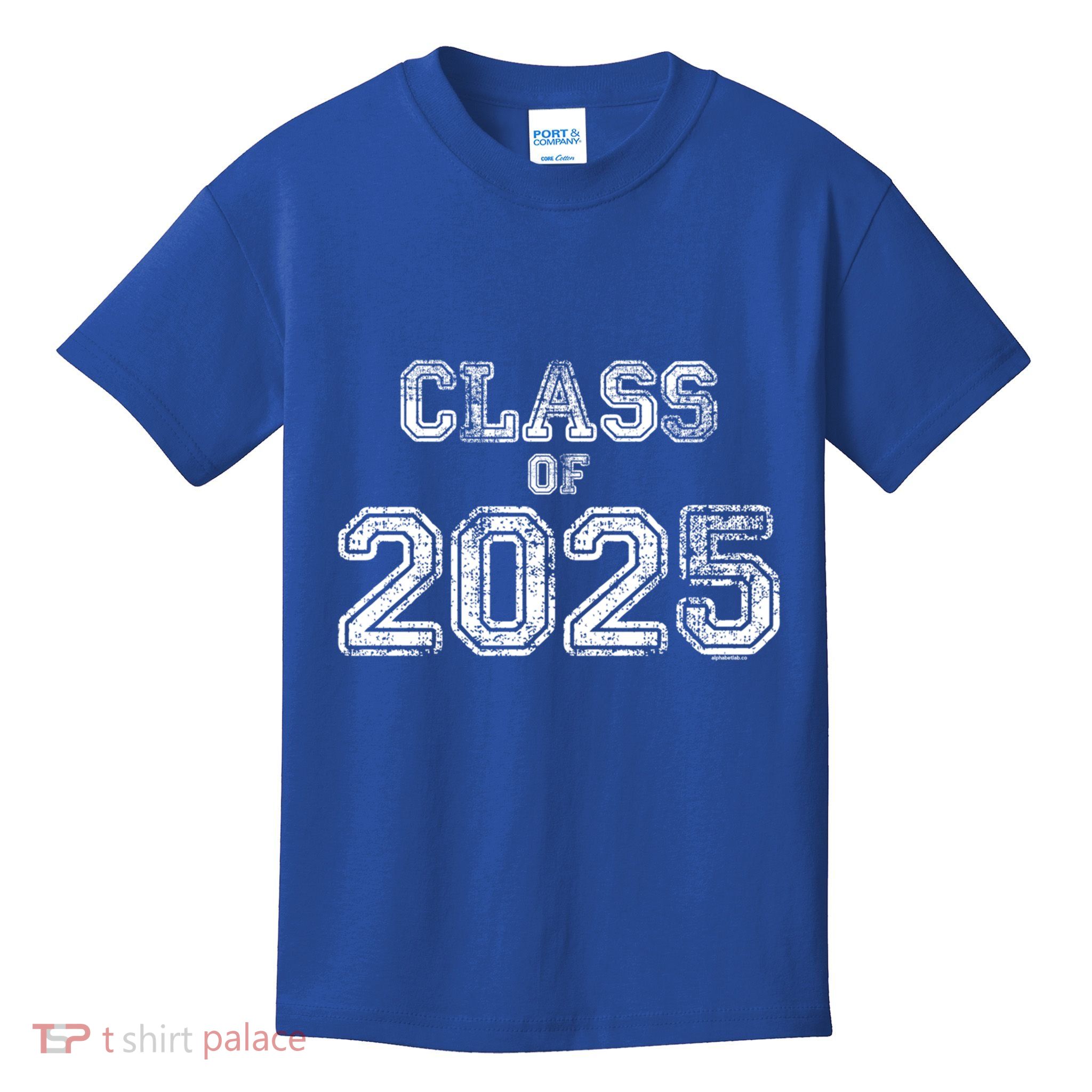 Class Of 2025 Senior 2025 Graduation Vintage School Spirit Cool Gift Kids T-Shirt