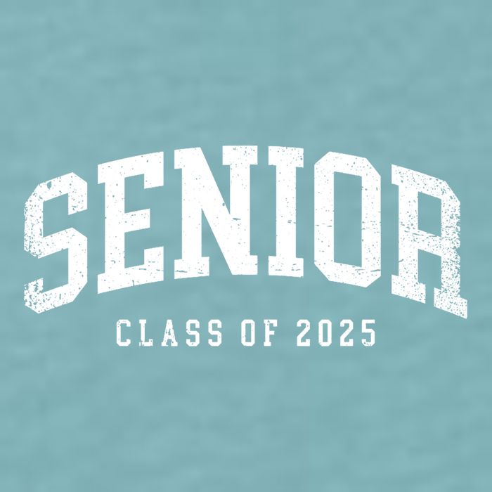 Class Of 2025 Senior 2025 Graduation 2025 Back To School Sueded Cloud Jersey T-Shirt