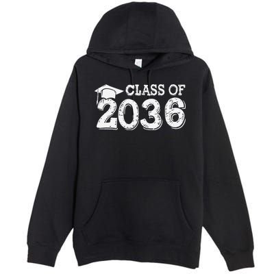 Class Of 2036 Grow With Me Handprints Space On Back Gift Premium Pullover Hoodie
