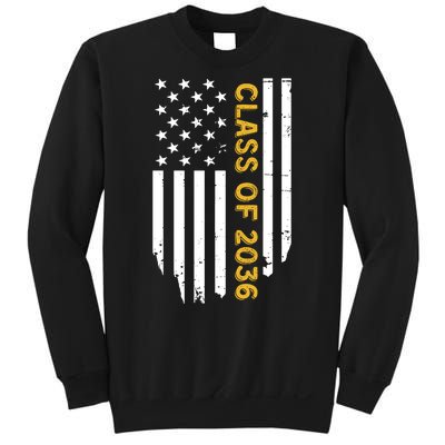 Class Of 2036 Graduation Us Flag Vintage Sweatshirt