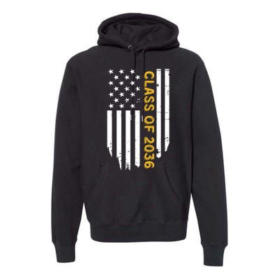 Class Of 2036 Graduation Us Flag Vintage Premium Hoodie