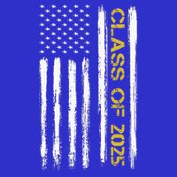 Class Of 2025 Senior Patriotic American Flag Graduation Gift 16 in Basic Backpack