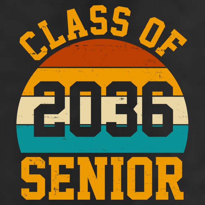 Class Of 2036 Senior Retro Sunset Adult Drive Performance Visor