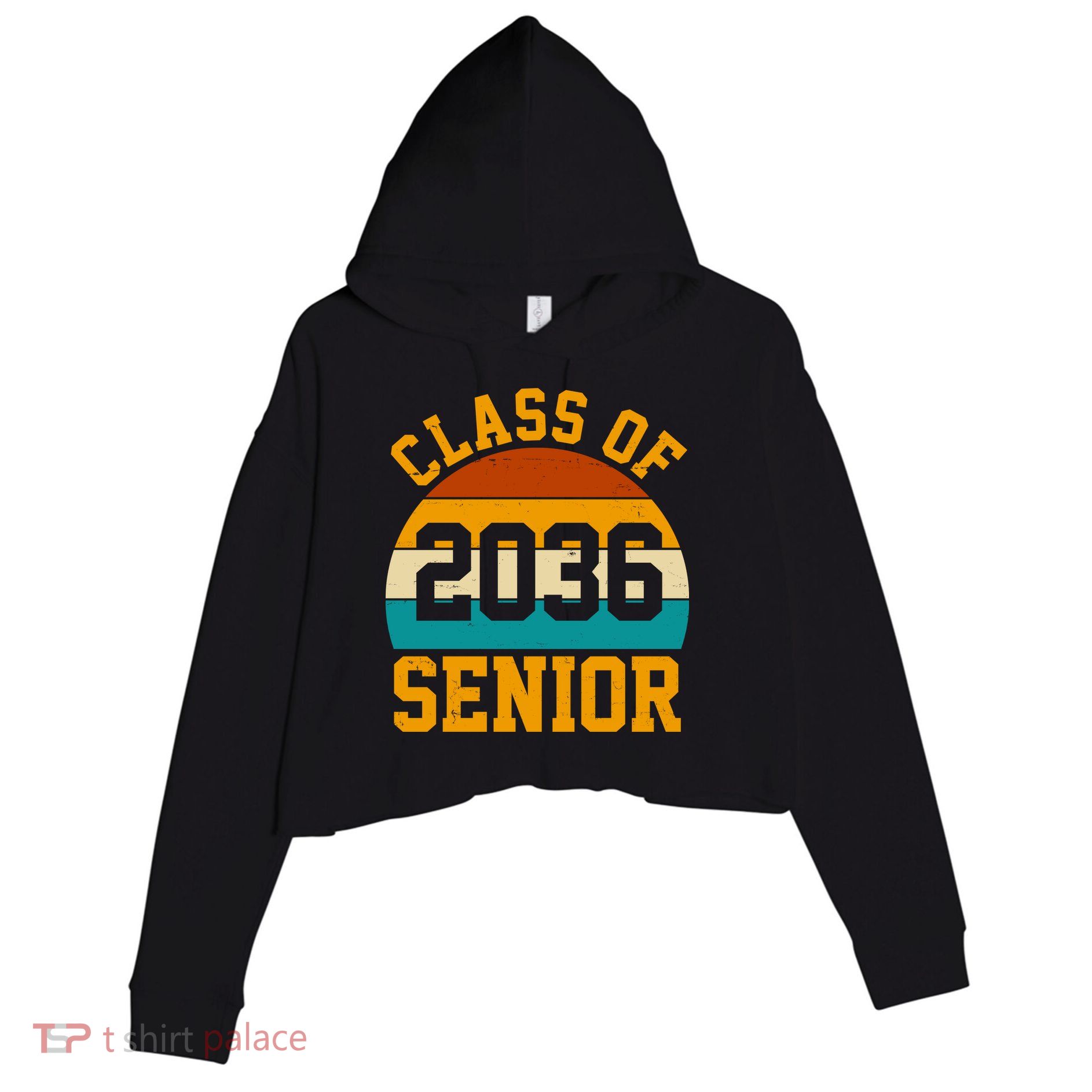 Class Of 2036 Senior Retro Sunset Crop Fleece Hoodie