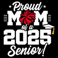 Class Of 2025 Senior Year Cheer Mom Senior 2025 Gift City Backpack