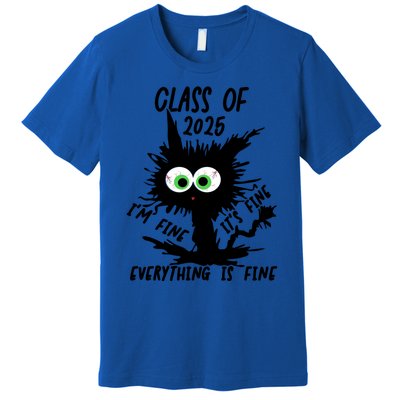 Class Of 2025 Funny Gift Premium T-Shirt