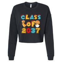 Class Of 2037 Grow With Me Kindergarten Graduation Cropped Pullover Crew