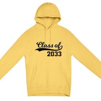 Class Of 2033 Grow With Me First Day Of School Premium Pullover Hoodie