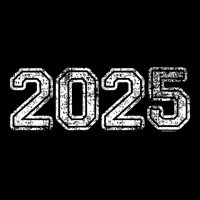 Class Of 2025 Graduation School Vintage Spirit Senior 2025 Toddler T-Shirt