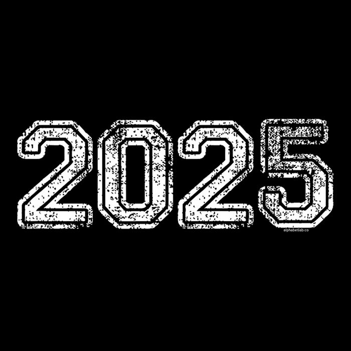 Class Of 2025 Graduation School Vintage Spirit Senior 2025 Toddler T-Shirt