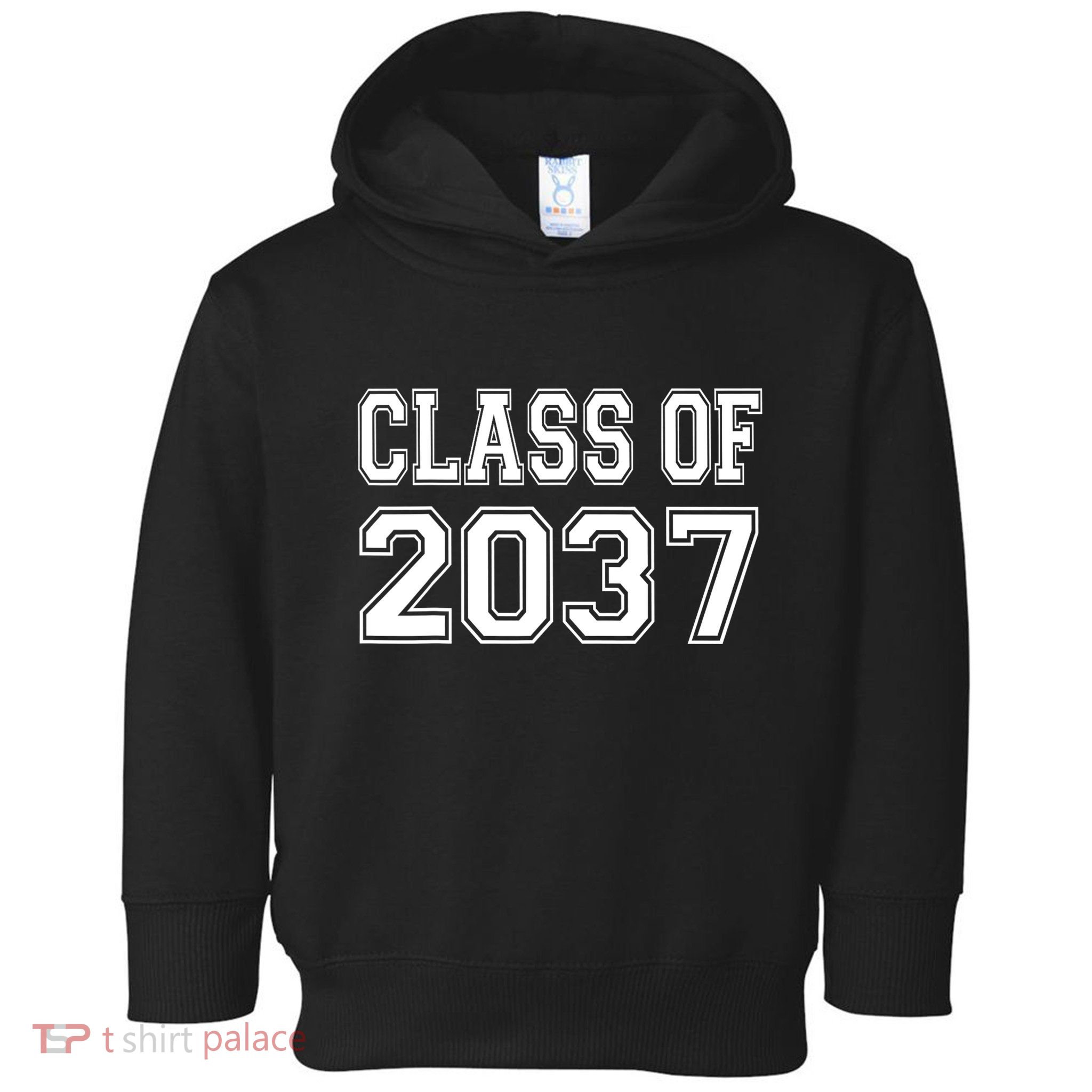 Class Of 2037 Grow With Me Toddler Hoodie