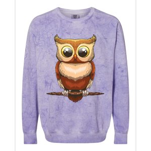 Cute Owl Art For Men Women Boy Girl Owl Lovers Colorblast Crewneck Sweatshirt