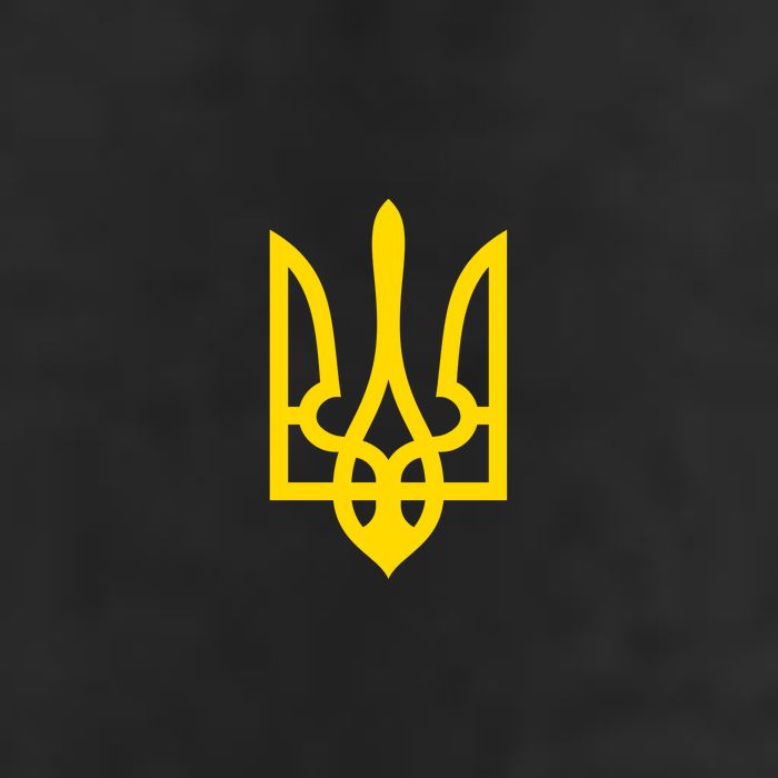 Coat Of Arms Of Ukraine Emblem Small Chest Print 7 Panel Mesh Trucker Snapback Hat
