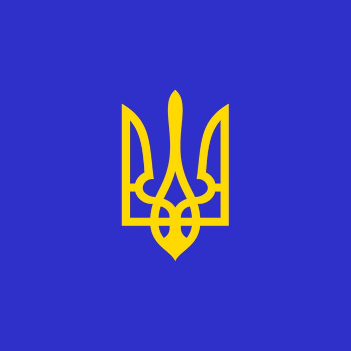 Coat Of Arms Of Ukraine Emblem Small Chest Print Kids Hoodie