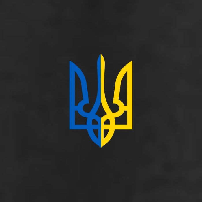 Coat Of Arms Of Ukraine Emblem Chest Print 7 Panel Mesh Trucker Snapback Hat