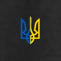 Coat Of Arms Of Ukraine Emblem Chest Print Adult Drive Performance Visor