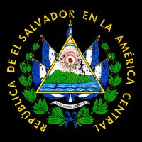 Coat Of Arms Of El Salvador Salvadoran Tall T-Shirt
