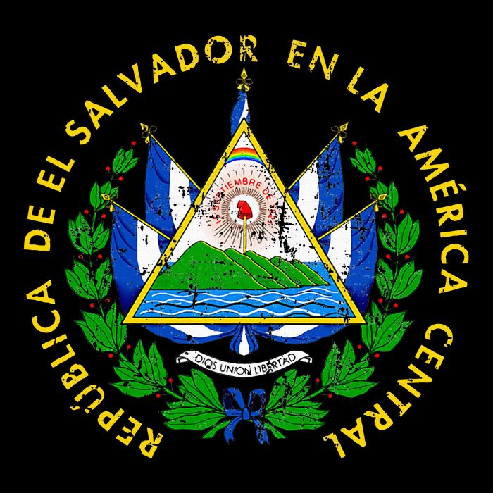 Coat Of Arms Of El Salvador Salvadoran 16 in Basic Backpack