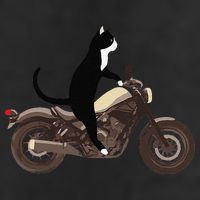 Cat On A Motorcycle Funny Cool Comfort Performance Bucket Hat