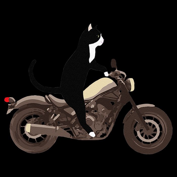 Cat On A Motorcycle Funny 16 in Basic Backpack