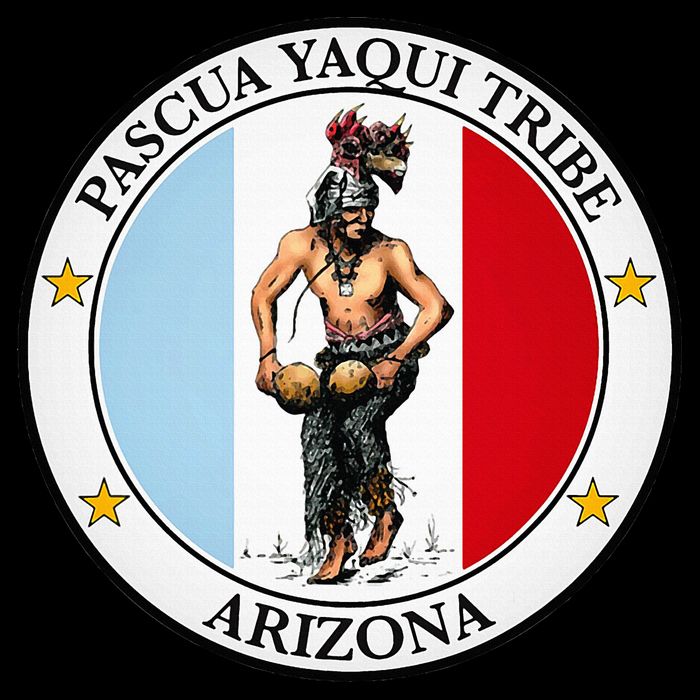 Coat Of Arms Of Pascua Yaqui Tribe Of Arizona Wool Snapback Cap