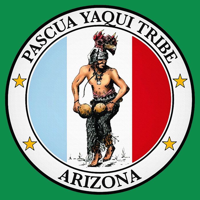 Coat Of Arms Of Pascua Yaqui Tribe Of Arizona Kids Hoodie