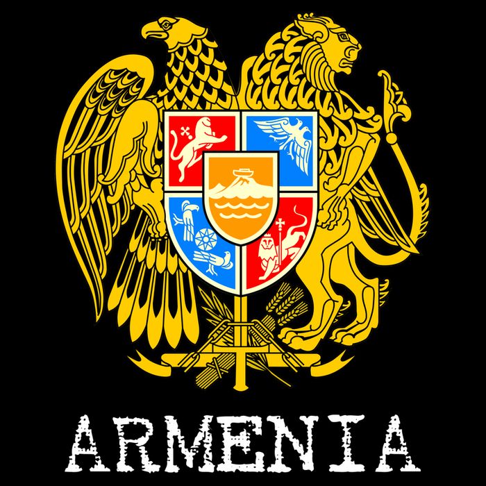 Coat of Arms of Armenia Cooling Performance Crew T-Shirt