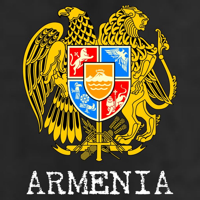 Coat of Arms of Armenia Adult Drive Performance Visor