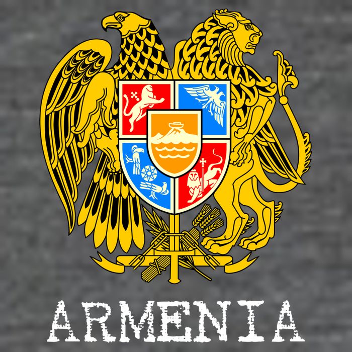 Coat of Arms of Armenia T-Shirt