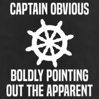 Captain Obvious Boldly Pointing Out The Apparent Sarcasm Cool Comfort Performance Bucket Hat