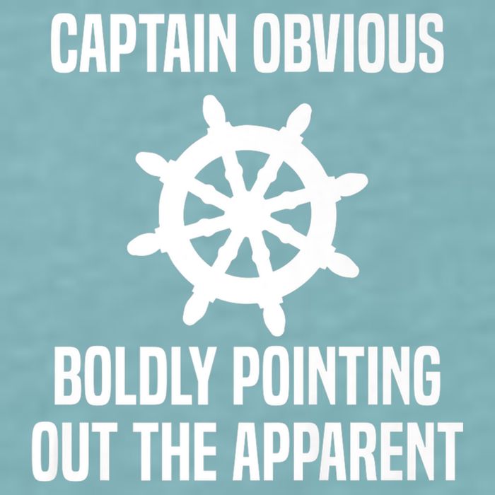 Captain Obvious Boldly Pointing Out The Apparent Sarcasm Sueded Cloud Jersey T-Shirt
