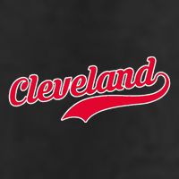 Cleveland Ohio Baseball 7 Panel Mesh Trucker Snapback Hat