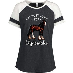 Clydesdale Owner Clydesdale Horse Toy Clydesdale Lover Enza Ladies Jersey Colorblock Tee