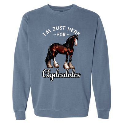 Clydesdale Owner Clydesdale Horse Toy Clydesdale Lover Garment-Dyed Sweatshirt