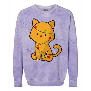 Cute Orange Cat With Xmas Lights Love Cats Funny Gift Colorblast Crewneck Sweatshirt